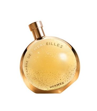 Hermes Eau des Merveilles L Ambre Woda Perfumowana 100ml. **