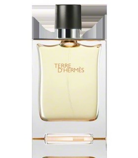 Hermes Terre D Hermes Eau de Toilette 100ml.