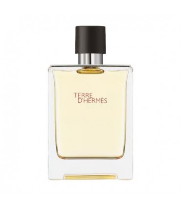 Hermes Terre D Hermes Eau de Toilette 100ml.